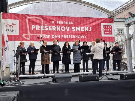 Pevka ŽPZ Josipine Turnograjske