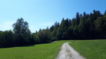 Zahodna obala jezera Črnava