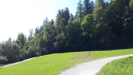 Zahodna obala jezera Črnava