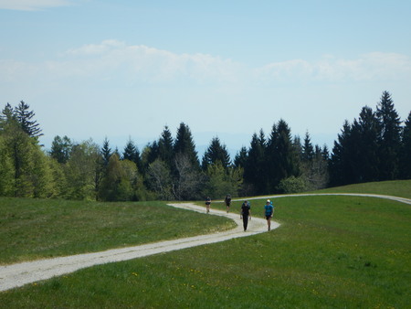 DSCN8212